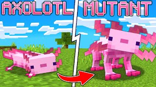 How to summon a MUTANT AXOLOTL in Minecraft [upl. by Ritch231]