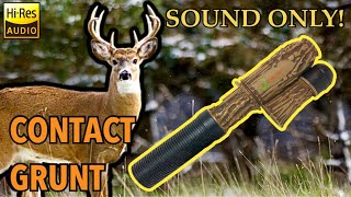 Sound Only Young Buck Contact Grunt Flextone “The Extractor” Deer Call [upl. by Sacci]