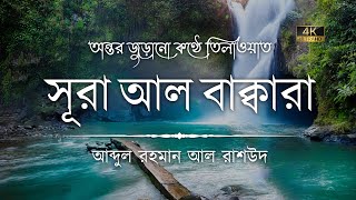 সূরা আল বাকারা এর অত্যন্ত দরদী কন্ঠে তিলাওয়াত┇Surah Al Baqarah Recited by Abdul Rahman Al Rashoud [upl. by Niwle]