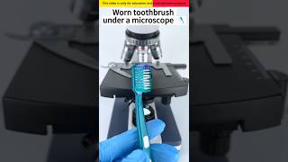 Toothbrush microscope se kaisa dikhta hai 😱🔬 Shorts ytshorts facts ItzAsim46 DEVKeFacts [upl. by Elizabeth290]