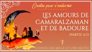 45  Contes des Mille et Une Nuits  Les amours de Camaralzaman et de Badoure partie 27 [upl. by Caressa]