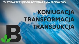 koniugacja transformacja transdukcja  KOREPETYCJE z BIOLOGII  249 [upl. by Betti]