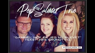 quotGammel nok er jeg nu blevetquot  PopSalmer Trio på Husmandsstedet [upl. by Asilet]