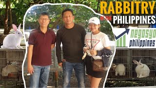 RABBITRY FARMING IN THE PHILIPPINES  Negosyo Philippines [upl. by Zumwalt]