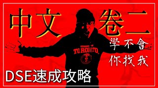 【DSE議論文速成秘技】明白這兩件事簡單保4 I 再拿5 💥 中文卷二 [upl. by Oiralednac]