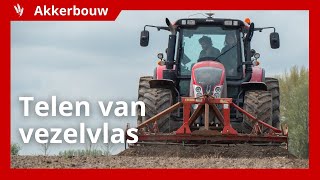 Biologisch telen van vezelvlas voor duurzaam textiel [upl. by Eiznekam733]