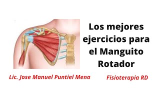 Los mejores ejercicios para el Manguito Rotador  FisioterapiaRD [upl. by Ilak]