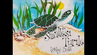 The Smallest Turtle by Lynley Dodd [upl. by Onitrof]