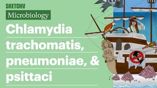 Chlamydia trachomatis pneumoniae amp psittaci  USMLE Step 1  Sketchy Medical [upl. by Emera]