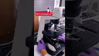 Microbiology Lab section 🧑‍🔬🧑‍🔬🔬🔬 youtubeshorts technology foryou viral micro microbiology [upl. by Midas]