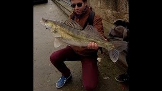 Streetfishing Paris Sandre et Silure dHiver [upl. by Ymmak]