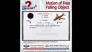 Free Falling Motion Explained  Newton’s Law Galileo’s Theory Air Resistance amp Gravitational Force [upl. by Kayne926]