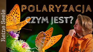 Polaryzacja Energetyczna  Męska i żeńska Czym jest [upl. by Llered101]