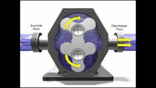 Rotary Pump Demonstration [upl. by Meridel437]