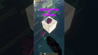 1000 Endermites vs 1 Enderman minecraft shorts [upl. by Jariv]