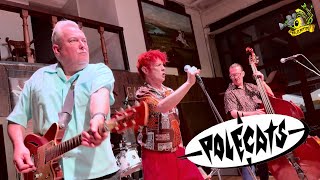 ▲Polecats  Live at Nasty Boys Saloon May 2024 [upl. by Ahdar]