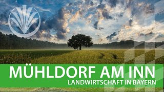 Landwirtschaft in Bayern Landkreis Mühldorf in Oberbayern [upl. by Eimirej]