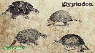 Glyptodon was a mysterious animal [upl. by Jenelle]