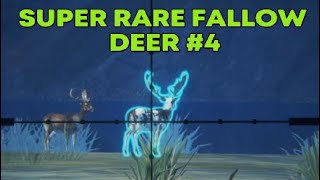 Super Rare Fallow Deer 4 Call of the Wild theHunter [upl. by Llemaj221]