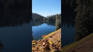 Octobers hike at Pierce lake ❤️‍🔥🍁🍂 [upl. by Esinad]