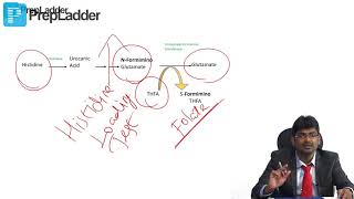 One carbon metabolism FIGlu excretion  MCQs discussion [upl. by Alansen154]