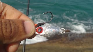 MICRO JIG É FATAL NA PESCARIA DE COSTEIRA⚠️SE TEM PEIXE ELE VAI PEGAR✅🎣 [upl. by Mailliw743]