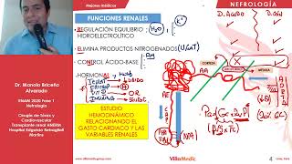 Nefrología  Fisiología Renal [upl. by Ellah]