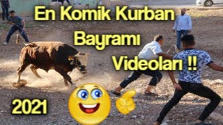 Kaçan Kurbanlıklar  En Komik Kurban Bayramı Videolari 2021 [upl. by Wylma618]