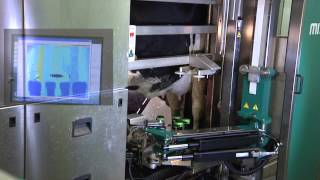 GEA Farm Technologies Automatic Milking System  MIone [upl. by Yerot]