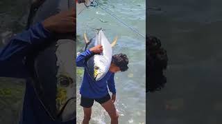 Big Tuna Sablayan Occidental Mindoro Philippines [upl. by Letnahc]