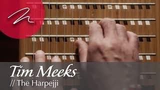 Tim Meeks  The Harpejji MartinLogan Presents Artists in Motion [upl. by Clarhe]