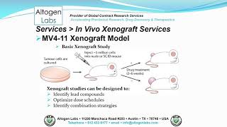 Altogen Labs MV411 Xenograft Service Leukemia [upl. by Elram168]