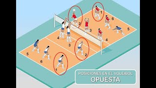 Opuesto en voleibol [upl. by Bluh436]