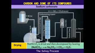 The solvay process [upl. by Zandra]