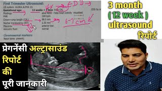 12 week ultrasound  sonography se kaise jane ladka hai ya ladki  6 week ultrasound  trimester [upl. by Jose]