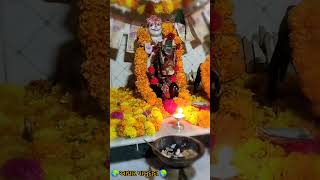 Hamjan aai tyarthi kari tari mala✨💫 shree pabudada dham dama 👏 viralsong [upl. by Verine]