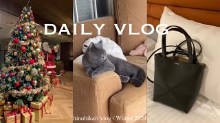 Vlog  LOEWEパズルトート👜ひとりランチクリスマスムードなお出かけ🎄 [upl. by Nosittam738]