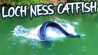 LOCH NESS MONSTER CATFISH 🦕 [upl. by Einnalem]