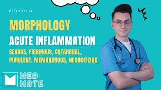 Morphology of acute inflammation [upl. by Blayze721]