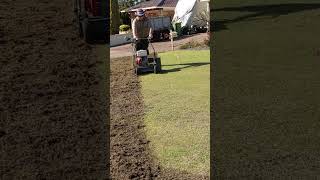 Vertimowing  Scarifying Thatch Build up on a Lawn in Perth Western Australia lawncare [upl. by Tattan]