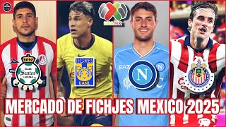 FICHAJES del FUTBOL MEXICANO para el Próximo Torneo 2025 y en el Mercado de Invierno [upl. by Pinkerton68]