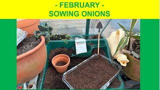 February  Sowing Onion Seeds Long Island NY Zone 7 [upl. by Cirdnek]