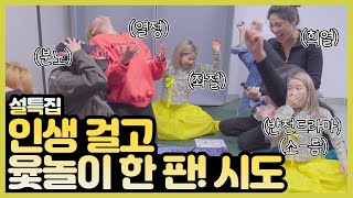 설날맞이 미친텐션 윷놀이 한 판 보실래요 저보다 더한 텐션의 소유자들 [upl. by Bea]