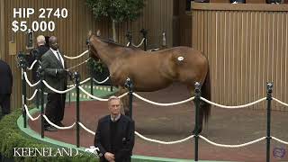 Keeneland Live Feed [upl. by Airamat]