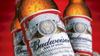 The Untold Truth Of Budweiser [upl. by Alletsirhc]