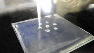 Ouchterlony Double Diffusion for Antibody Titration  Amrita University [upl. by Gabrila]