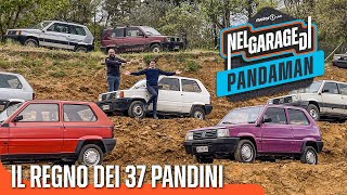 La collezione di Fiat PANDA più grande al MONDO [upl. by Ahsil]