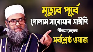 আবেগী কন্ঠে কোরআনের মাহফিল বিরোধীদের কঠিন হুঁশিয়ারী  গোলাম সারোয়ার সাঈদী  Golam Sarwar Saide waz [upl. by Arno202]