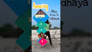 We Made Amazing Kite Flying shorts patang kite kiteflying kitefestival [upl. by Eesdnil]