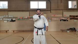 Junro Shodan Tutorial [upl. by Kcirrez]